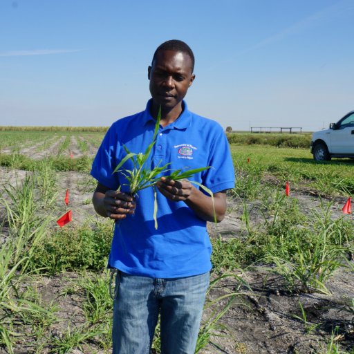 Calvin Odero - Extension Weed Scientist & Associate Professor at #UF working on integrated weed management for sugarcane, rice and vegetables in Belle Glade,FL.