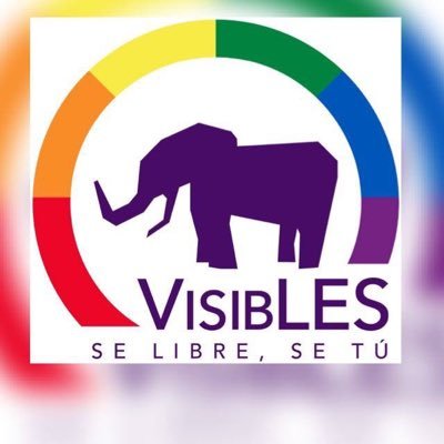 Buscamos visibilizar y compartir realidades de mujeres lesbianas y bisexuales desde el contexto sociocultural chileno y así combatir la Les-Bi-fobia