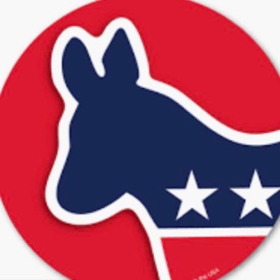 Events, news, & musings for Democrats in #Medfield (and beyond) | Lots of content on #CD4 (Kennedy’s *open* seat) #mapoli