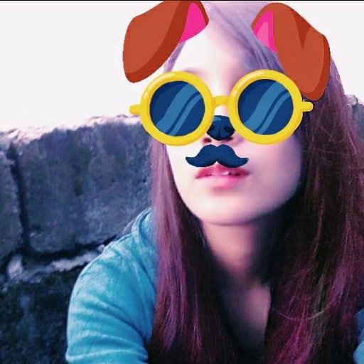 apccstr's profile picture. all things are difficult before they are easy.