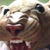 COUGAR CΠ―AZIEZ (@cougcrazynation) Twitter profile photo COUGAR CΠ―AZIEZ (@cougcrazynation) Twitter profile photo
