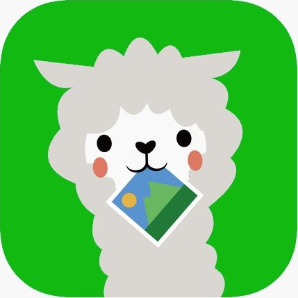 kws375_bs2's profile picture. 基本SKE箱推しです。荒井優希/井田玲音名