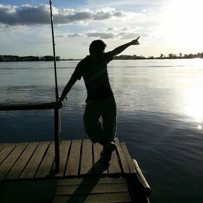 David86548815's profile picture. 