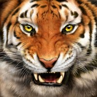 Pickerington HS Central (@phsc_tigers) 's Twitter Profile