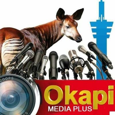Ste Okapi Mediaplus