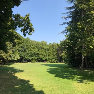 Chinois999's profile picture. 