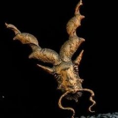 FalconeriCapra's profile picture. Father of two toddlers, Husband, Technology Lover, wannabe Hacker😄