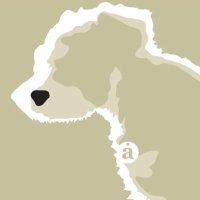 Archie Parker (@thearchieparker) 's Twitter Profile