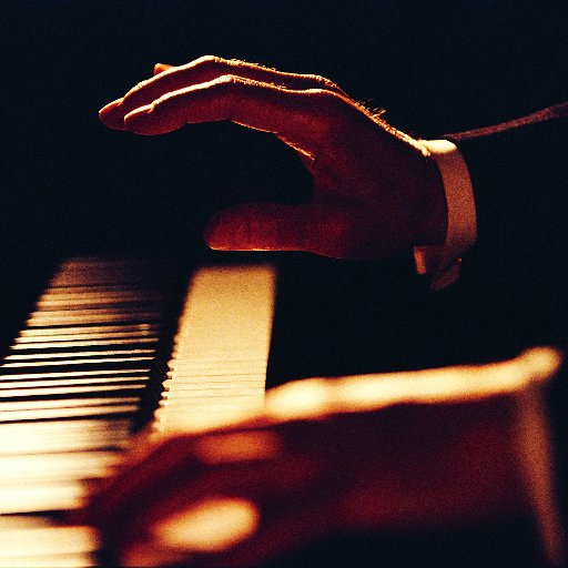 hoveraudio's profile picture. 🇨🇳