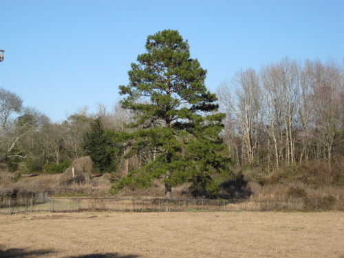 KtreeLifestyle's profile picture. 