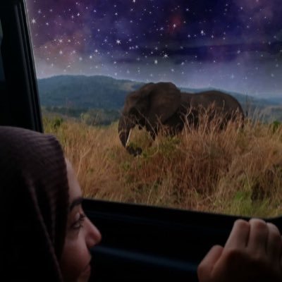 MeadRuh's profile picture. طبيبة أسرة
