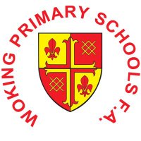 Woking Primary Schools FA(@wokingpsfa) 's Twitter Profile Photo