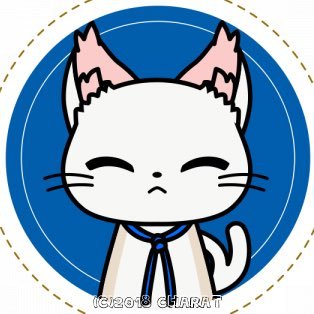 白猫*さんのプロフィール画像