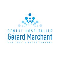 CH Gérard Marchant(@CHGM_31) 's Twitter Profile Photo