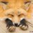 foxshox1