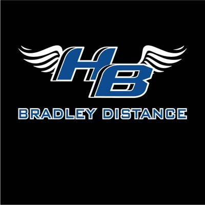 Bradley Distance