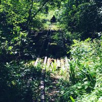 なおき🍃❄️🍀 (@gyakuten1053) 's Twitter Profile Photo なおき🍃❄️🍀 (@gyakuten1053) 's Twitter Profile Photo