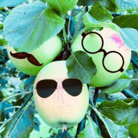 Ripon Community Link at Ripon Walled Garden (@rwalledgarden) 's Twitter Profile Photo Ripon Community Link at Ripon Walled Garden (@rwalledgarden) 's Twitter Profile Photo