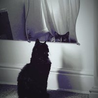 Ria Deakin (@riadeakin) 's Twitter Profile