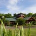 CVI @TheChefsGarden (@culinaryveginst) Twitter profile photo