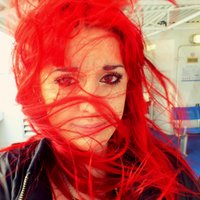 Rae Gellel (@theanimalist_) Twitter profile photo
