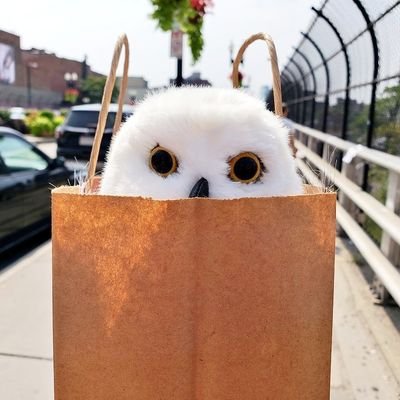 The owl knows what the owl sees | III | introvert | love movies, books & anime | plant mom 🌿 | multi-fandom/ship | plz feel free to unfollow | TH/EN