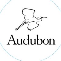 Audubon California(@AudubonCA) 's Twitter Profile Photo