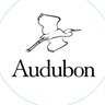 AudubonCA's profile picture. Birds may be the only form of wildlife that everyone encounters every day, and they provide a unique window into California's great outdoors.