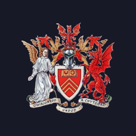 Cardiff Uni CC Profile