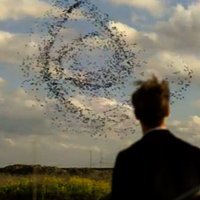 Sam Duren (@sam_duren) 's Twitter Profile