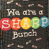 Liz Heubner (@mrsheubner_ses) 's Twitter Profile