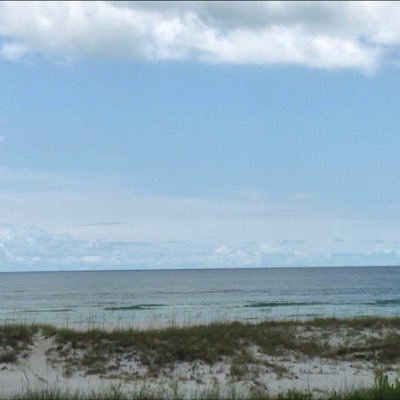 jake_mckeithen's profile picture. Food & Drink