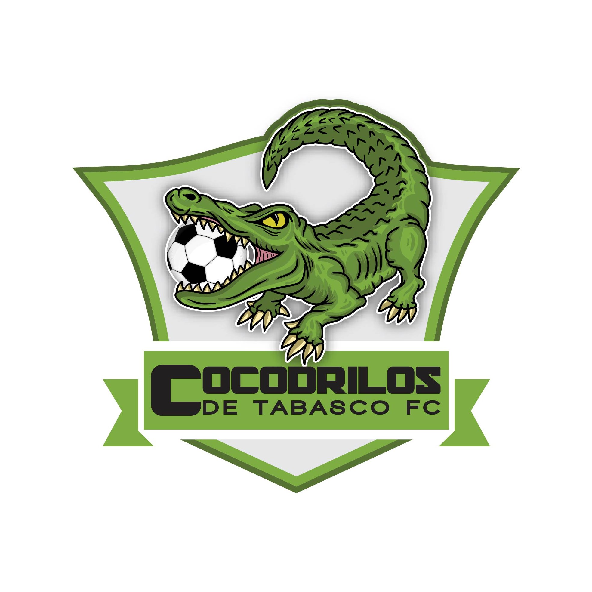 Somos un club de fútbol profesional perteneciente a la Liga Premier Serie A de la Federación Mexicana de Fútbol, A.C.