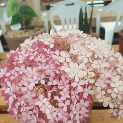 ilmare1208's profile picture. 열심히