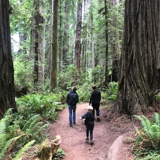 seanbowles8's profile picture. Science teacher at Dedham Middle School