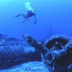 VDGarner's profile picture. Award-winning #ComputerScientist, #Skeptic, #Atheist, #Science, #Father, #Diver, #FBR Proudly blocked by @ChuckWoolery, @ScottBaio