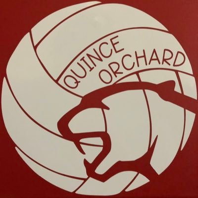 Quince Orchard HS Girls Volleyball🐾🏐