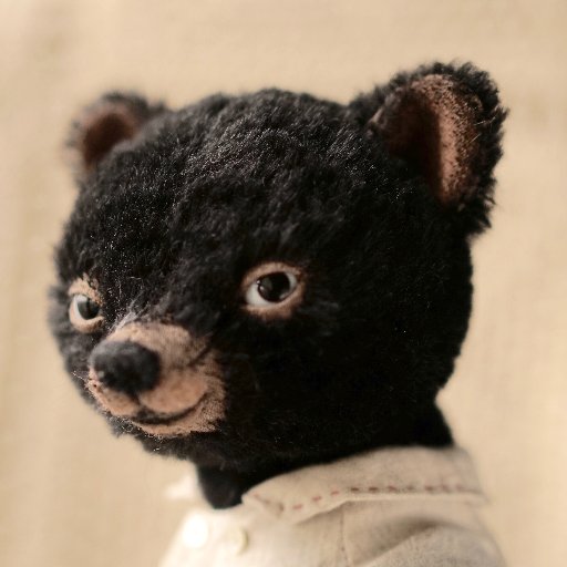 whimbear Profile Picture