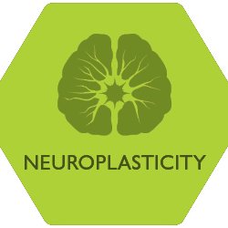 The official twitter account for the ACRM Neuroplasticity Networking Group.