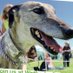 GT West Yorkshire (@gtwestyorks) Twitter profile photo GT West Yorkshire (@gtwestyorks) Twitter profile photo