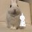 rabbit39li10