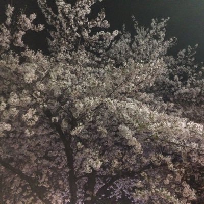 やんでれEX🌸🍄さんのプロフィール画像