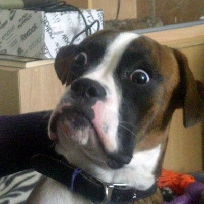 cj_clemerall's profile picture. 