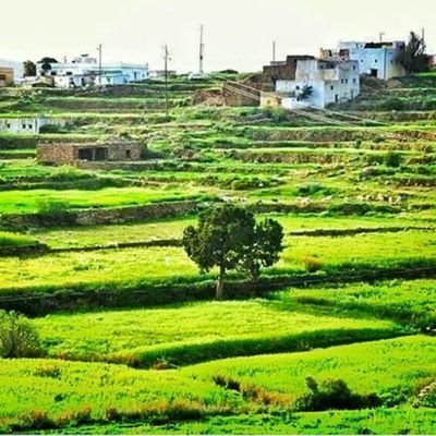 k308513's profile picture. ‏‏‏‏‏‏‏‏‏‏كَمْ أتمنى أن تَكون { صفحتي } كَـ حبة السُكر يحلو مزاجكم بها||~♥