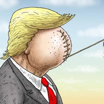 bluegirl1935's profile picture. concerned citizen