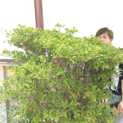 広大附属→河合塾大阪校医進館→大分医→広島→大分