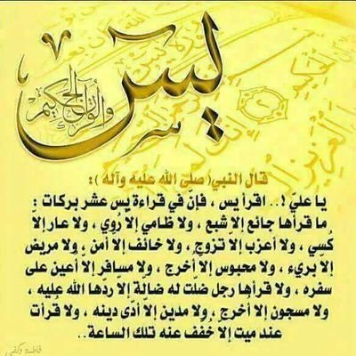 6kILR98xupqPCgl's profile picture. 