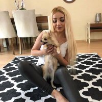 Viranşehir Eskort (@viransehireskrt) Twitter profile photo