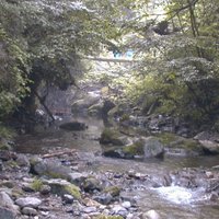 たま (@j1gcat) 's Twitter Profile