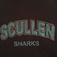 Scullen PTSA (@ptsascullen) 's Twitter Profile